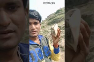 Animal rescue #shorts #animalrescue @MurliwaleHausla