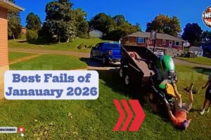 Best Fails of January 2025|Best of the Week | Try Not to Laugh Challenge 🤣