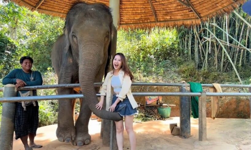 Best Fails of The Week: Funniest Fails Compilation:Funny Video | FailArmy Part - 58