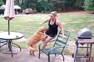 Best Fails of the Week: Try Not To Laugh 2025 (Part 14)