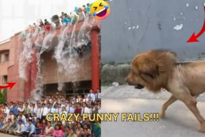 Best Fails of the Week - Try Not to Laugh Challenge 🤣