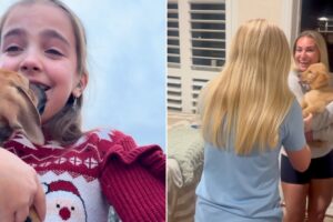 Best of Cutest Puppy Surprise Compilation 2025