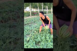 Big Fails of the Week 😂🤣 #funny #shorts