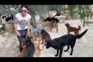 Big Move Day! Val & The Dogs Are Moving Into the House - Takis Shelter