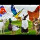 Cute Animals Playing 🐔🦆🐰 | Colorful Eggs & Baby Goat Fun for Kids