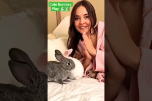 Cute Bunnies Play 🐇🐰/ #shorts | Iftikhar-EarthAnimals  | #pets #animals #reaction #cute #bunny