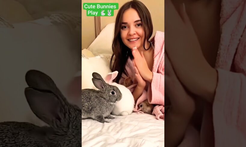 Cute Bunnies Play 🐇🐰/ #shorts | Iftikhar-EarthAnimals  | #pets #animals #reaction #cute #bunny