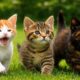 Cute Kitten Meowing And Purring With Farm Animals, Kitten Playing On The Grass, Cat Sound Video