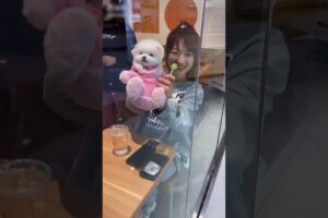 "Cute Puppies Alert 🐶💕 | DiDi and Bhaiya's Fun with Puppies 🐾😆"#trending#shortvideo#puppy