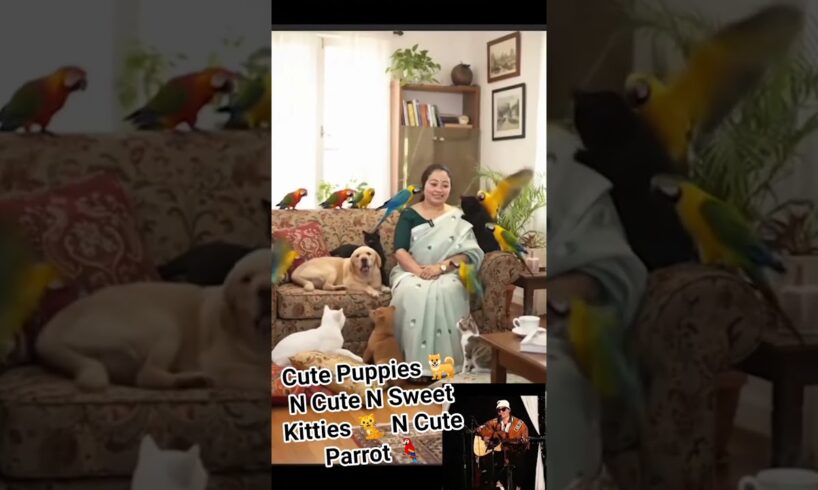 Cute Puppies 🐕 N Cute N Sweet Kitties 🐈 N Cute Parrot 🦜#cuteanimal #cutecat #cutepuppies #cutepuppy