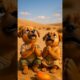 Cute Puppies Pray for Rain in Desert –God's Miracle Will Melt Your Heart! 🙏😭. #shorts #ai #cutepuppy