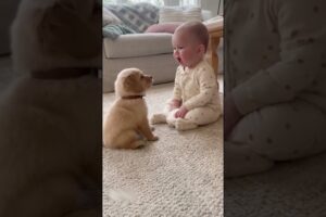 Cutest Baby and Puppy
