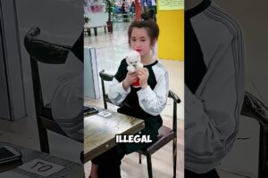 Cutest Puppies In The World 😍♥️