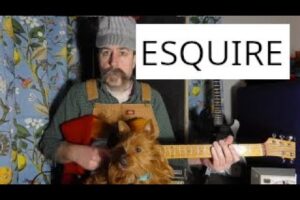 ESQUIRE Minutes of the World's CUTEST Puppies 🐶❤️ | Opening Suite