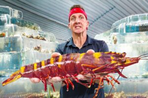 Eating Every Shrimp in Asia!