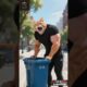 Emotional Animal Rescue Story | Dog Saves Kitten from Garbage Truck #emotional #SilentTailsstories
