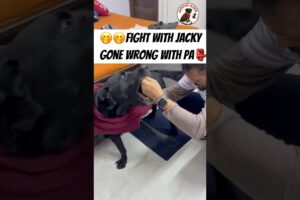 Fight with jacky#shorts #explore #mrbeast