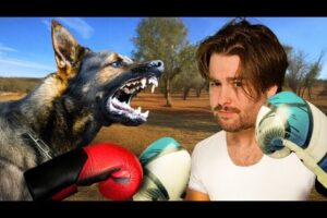 Fighting Animals Tierlist