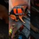 Firefighter Rescues A Red Fox In Burning House!