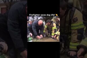 Firefighter saves dog life! 👏