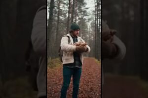 Found tiny puppies 🐶! Safe, fed, warm 🥰 #Cute #Puppies #Shorts