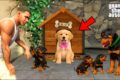 Franklin Gets Attacked by 1000 Cute Puppies| GTA 5 Chop & Shin chan in Telugu