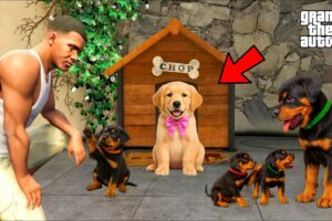 Franklin Gets Attacked by 1000 Cute Puppies| GTA 5 Chop & Shin chan in Telugu
