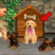 Franklin Gets Attacked by 1000 Cute Puppies| GTA 5 Chop & Shin chan in Telugu