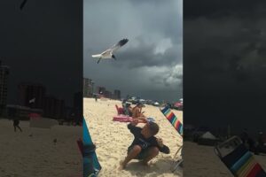 Funniest Fails & Instant Regrets 😂  Best Fails of the Week