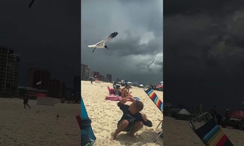 Funniest Fails & Instant Regrets 😂  Best Fails of the Week