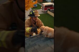 Golden Retriever Rescues Puppy from Roof! #rescue #goldenretriever #dog