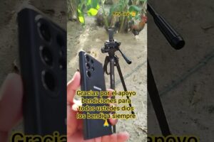 Gracias por el apoyo bendiciones para todos ustedes dios los bendiga siempre 🙏 #dogs #perros