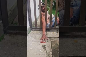 He bleeds, but the little dog doesn't go hungry 😭😭😭 #dog #sad #alone #dogshorts #dogs #motivation