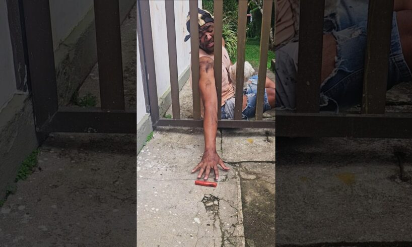 He bleeds, but the little dog doesn't go hungry 😭😭😭 #dog #sad #alone #dogshorts #dogs #motivation