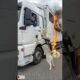 Hero Dog Saves Horses From Burning Truck 🔥💔 | Emotional Rescue Story #save #ai