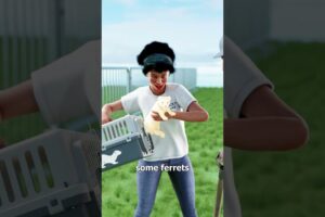 How Ferrets Saved London’s New Year’s Eve Concert 😮