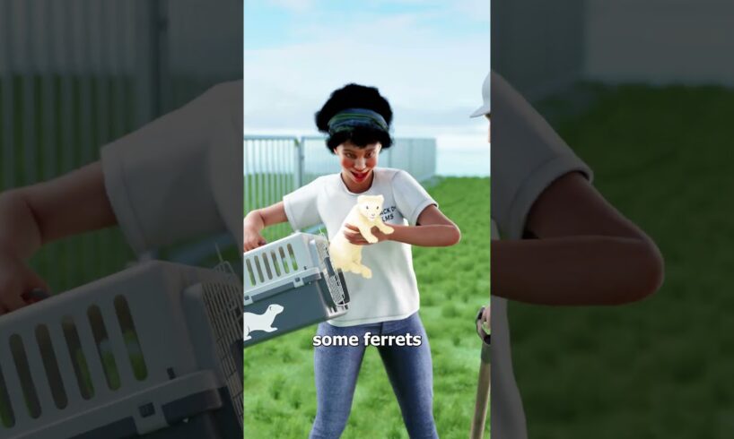 How Ferrets Saved London’s New Year’s Eve Concert 😮