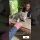 I Saves a Wolf Baby From a Bear #wolf #rescue #animals #shorts