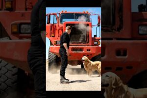 If He Didn't Stop, He Would Be Dead. #shorts #truck #animalhelpers #aivideo