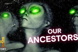 Inside the Mystery of the Greys | Ancient Aliens