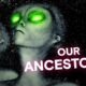 Inside the Mystery of the Greys | Ancient Aliens