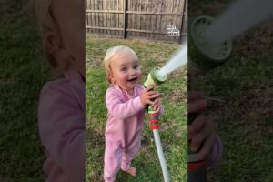 Judgy Cat Rates Toddler Fails 😹