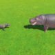 KOMODO DRAGON VS HIPPOPOTAMUS - ARBS - Animal Revolt Battle Simulator