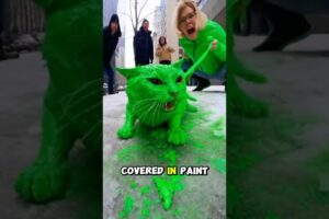 Karen Painted Her Cat Green 😡 - Animal Rescue 🐱