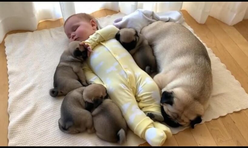 Life Is So Fun With a Baby and Cute Puppies at Home 👶🐾 | Heartwarming Family Moments #puppy #baby