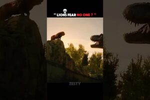 Lions fear no one? Part 02 #animals #lions