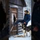 Loyal Dog Leads Rescuer to Trapped Man — Winter Survival!🥹 #dog #rescue
