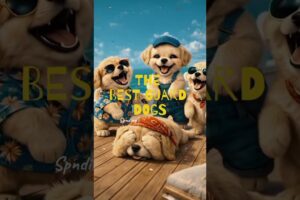 Luxury Yacht + Cute Puppies = VIRAL 😍🛥️ #puppies #funny #puppy #dog #cuteanimal #party #adorable