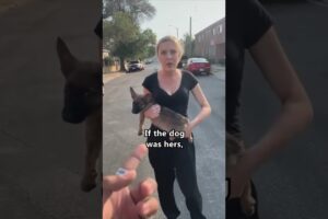 Man Saves Dog From Deranged Woman 🥲❤️ #shorts #save