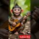 Monkey playing guitar    #ai #animals #funnyanimals #music #monkey
